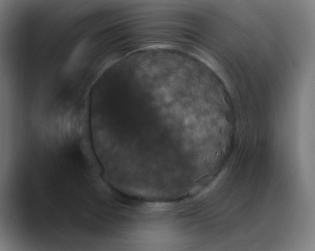 X0000088471377200706191340