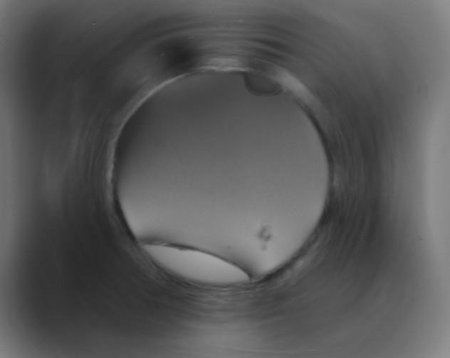 X0000088471378200706191340