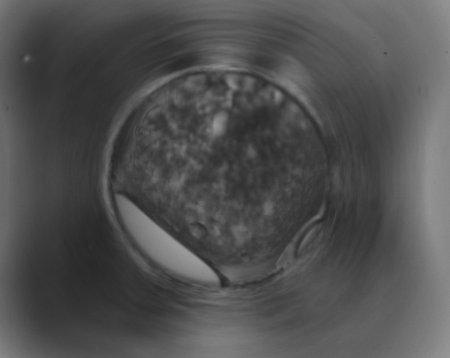 X0000088471379200706191340