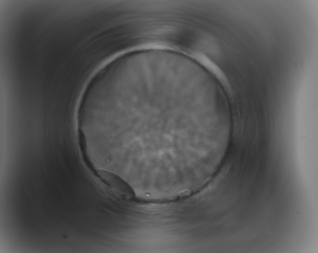 X0000088471380200706191340