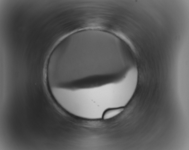 X0000088471383200706191340