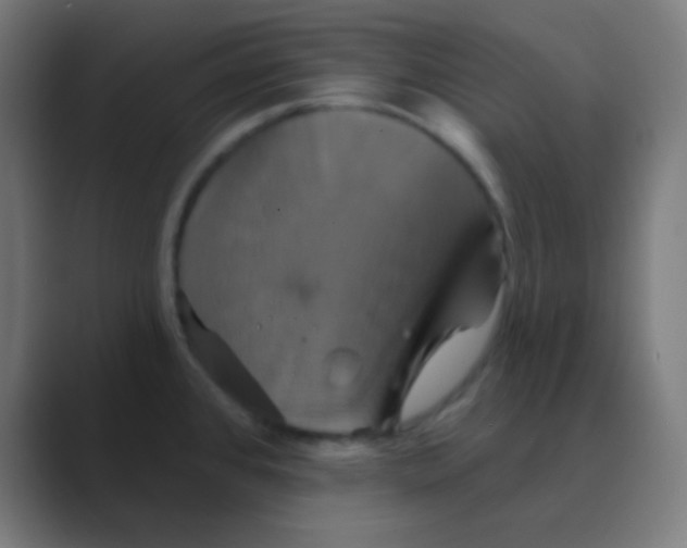 X0000088471384200706191340