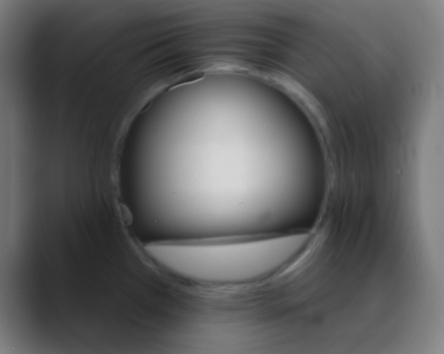 X0000088471385200706191340