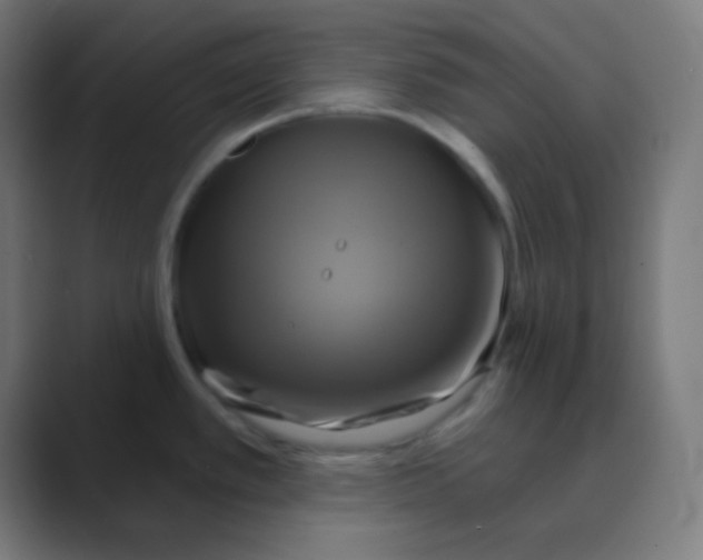 X0000088471389200706191340