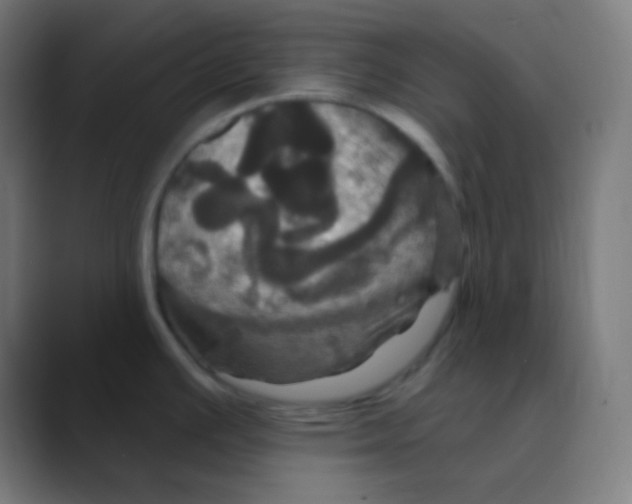 X0000088471391200706191340