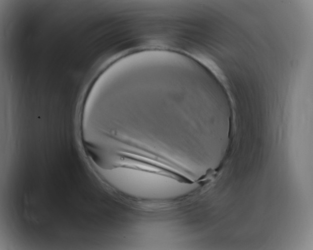 X0000088471392200706191340