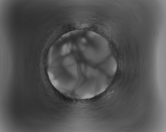 X0000088471393200706191339