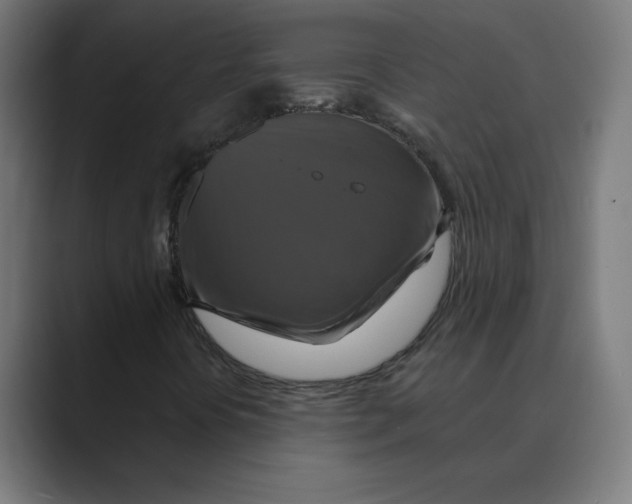 X0000088471394200706191339