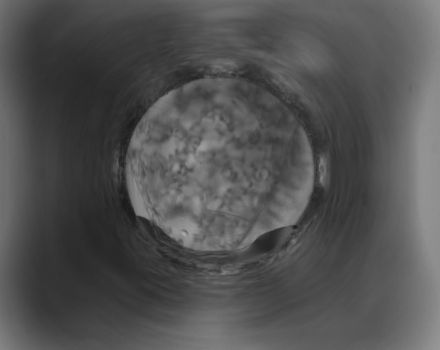 X0000088471395200706191339