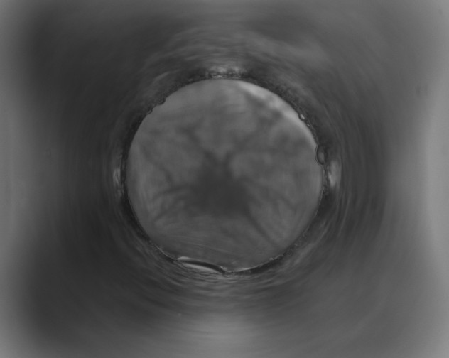 X0000088471396200706191339