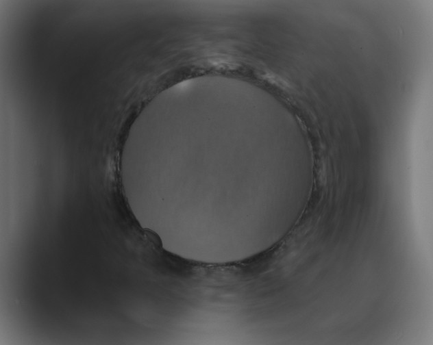 X0000088471397200706191339