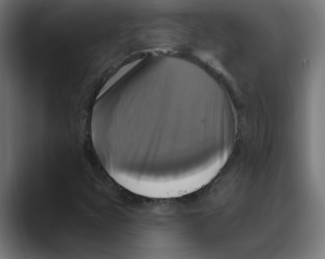 X0000088471399200706191339