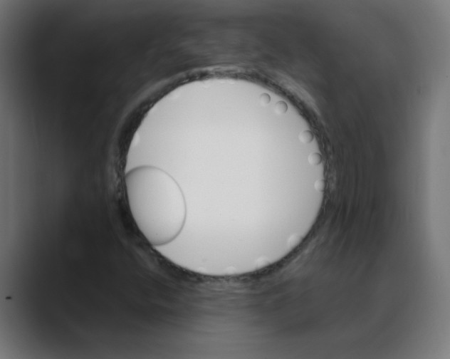 X0000088471400200706191339