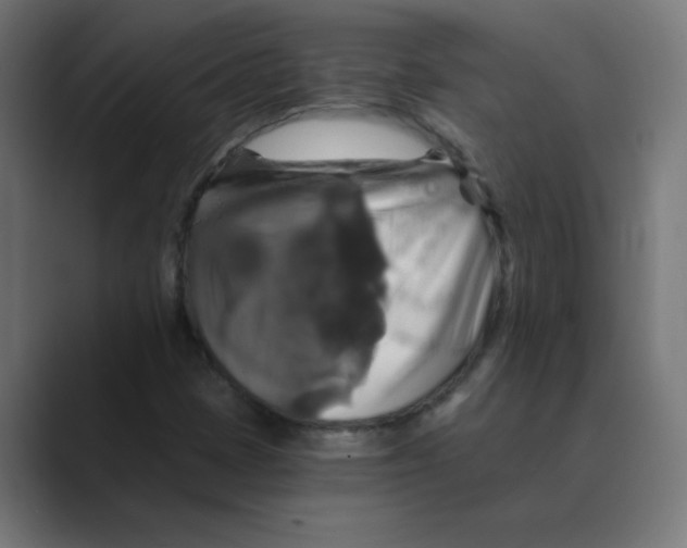 X0000088471401200706191339