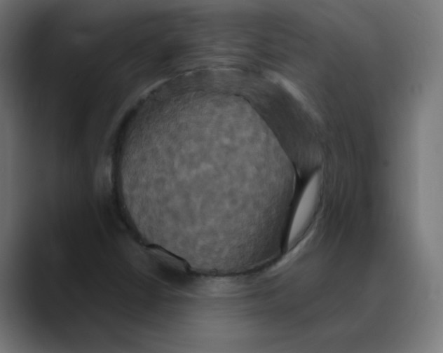 X0000088471402200706191339