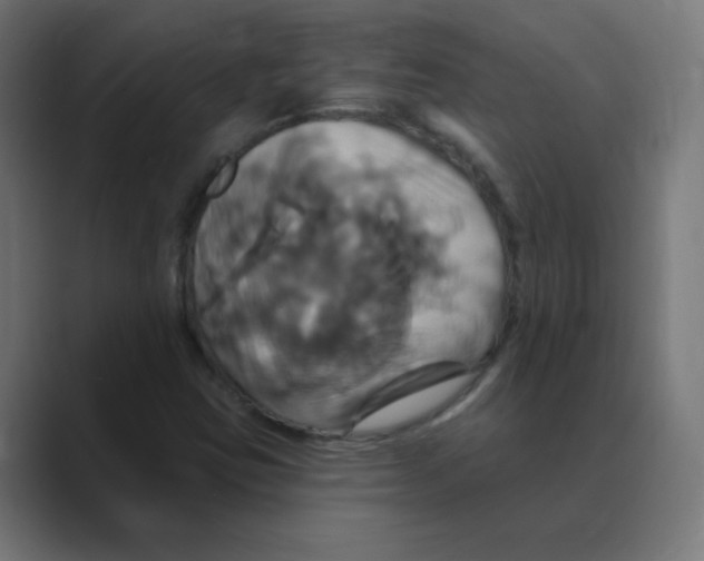 X0000088471403200706191339