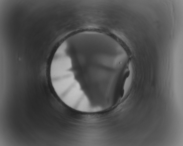 X0000088471404200706191339