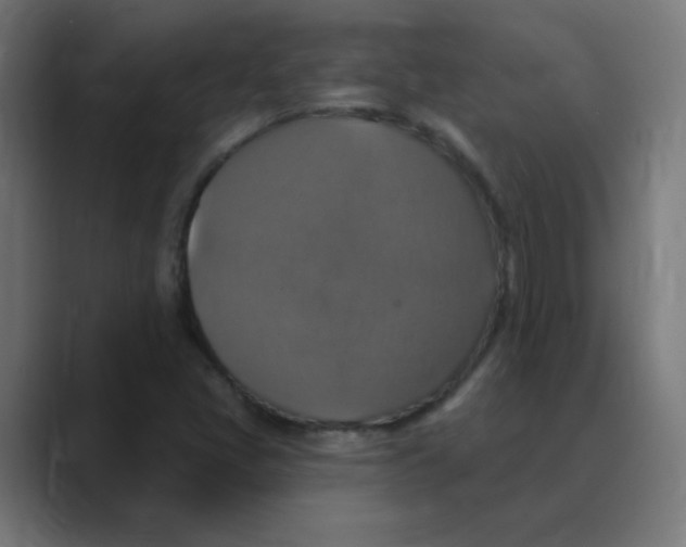 X0000088471405200706191339