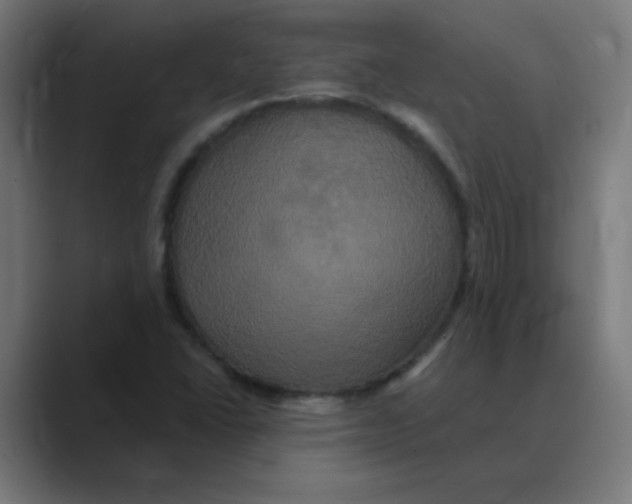 X0000088471406200706191339