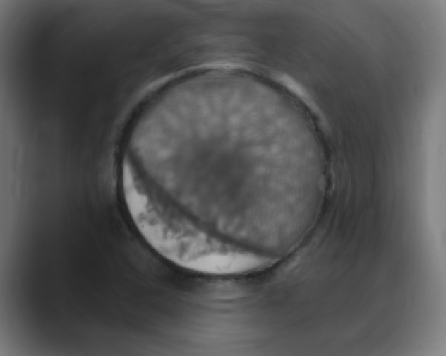 X0000088471408200706191339