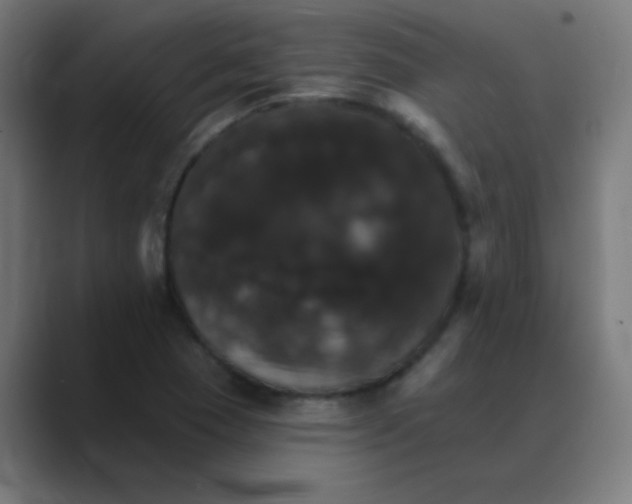 X0000088471409200706191339