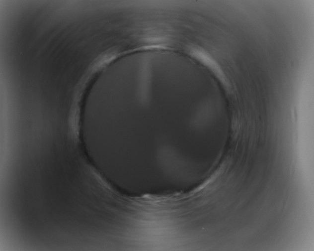 X0000088471411200706191339