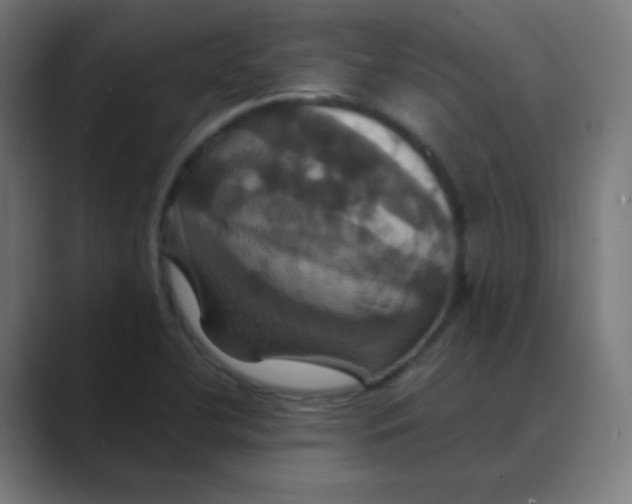 X0000088471412200706191339