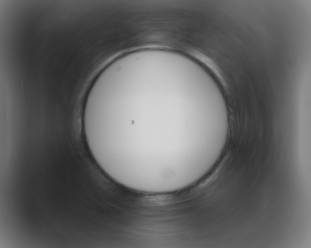 X0000088471415200706191339