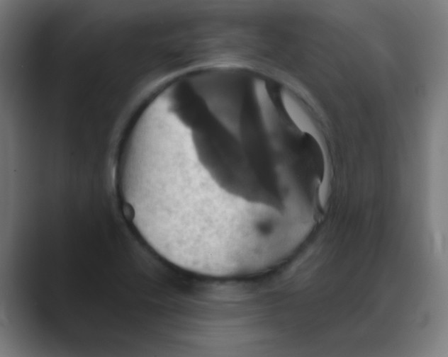 X0000088471416200706191339