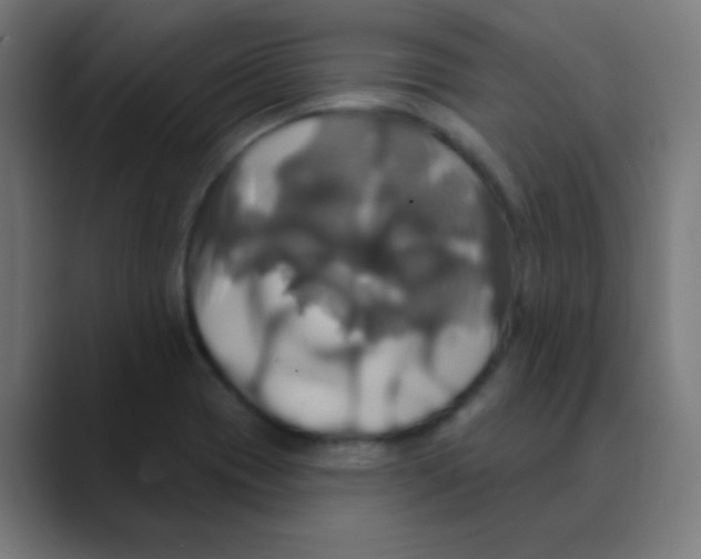 X0000088471417200706191339