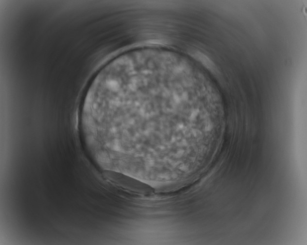 X0000088471420200706191339