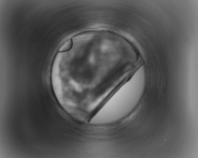 X0000088471421200706191339