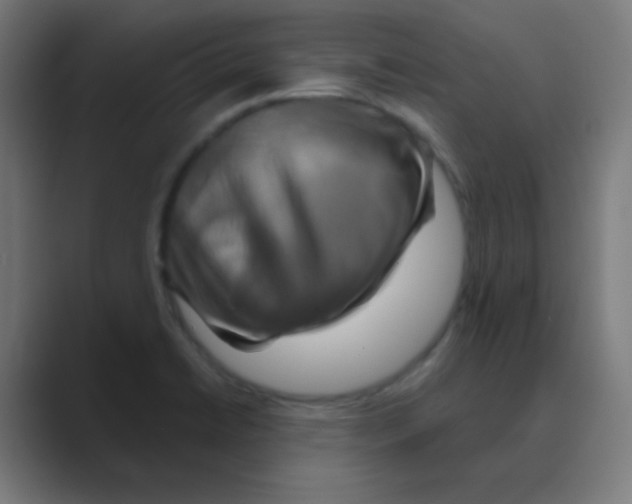 X0000088471422200706191339