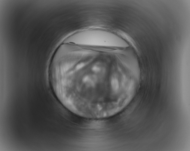 X0000088471423200706191339