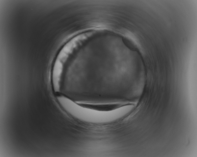 X0000088471424200706191339