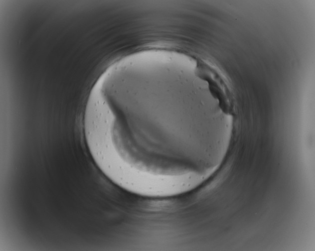 X0000088471425200706191339