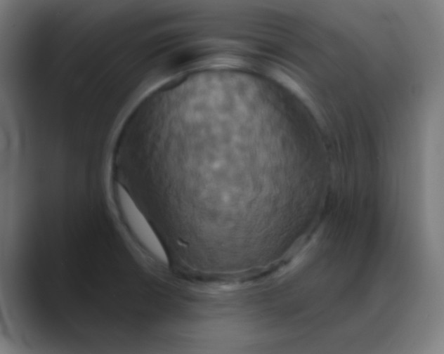 X0000088471426200706191339