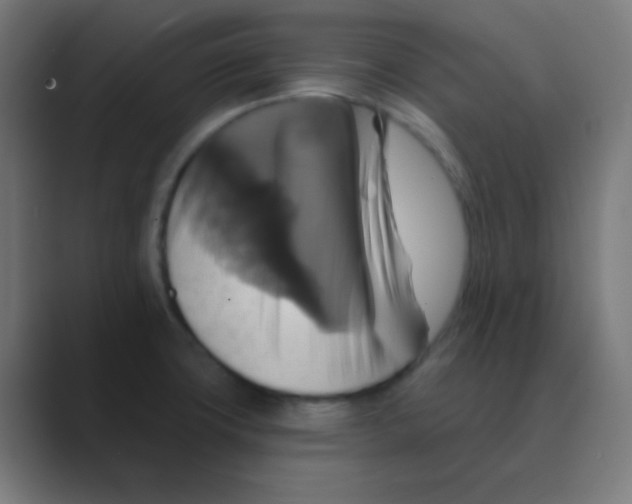 X0000088471427200706191339