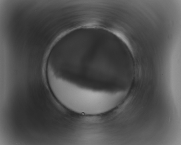 X0000088471429200706191339