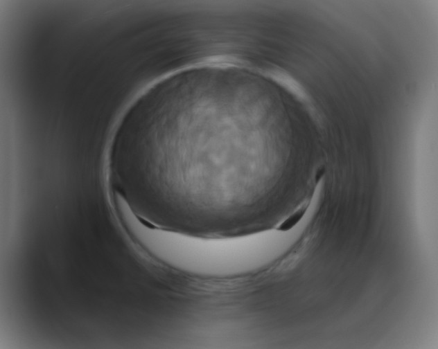 X0000088471430200706191339