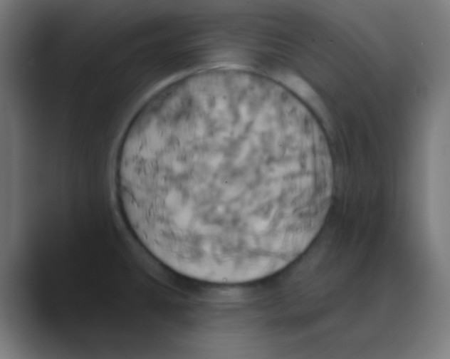 X0000088471431200706191339