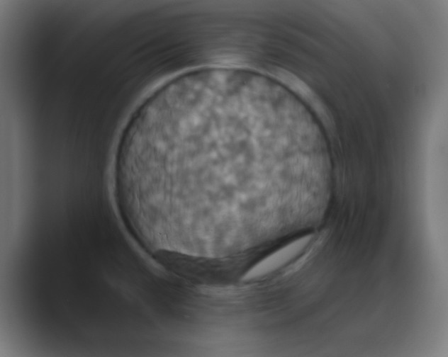 X0000088471432200706191339