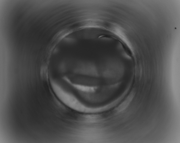 X0000088471433200706191339