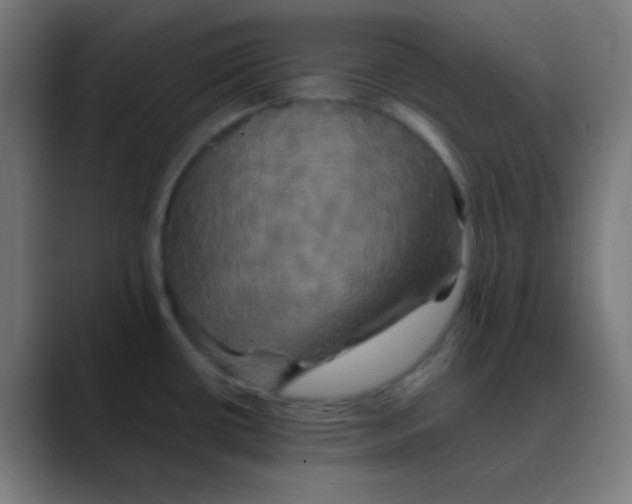 X0000088471434200706191339