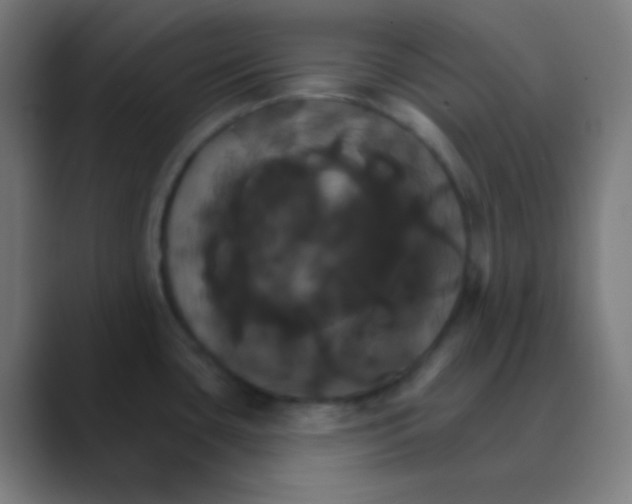 X0000088471435200706191339