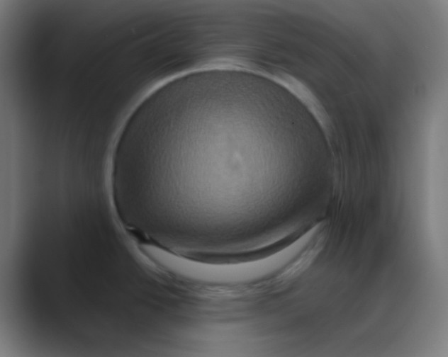 X0000088471438200706191340