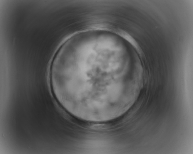 X0000088471439200706191340