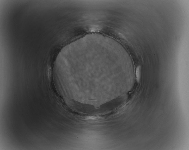 X0000088471443200706191339