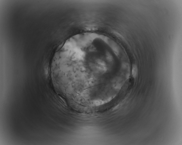 X0000088471444200706191339