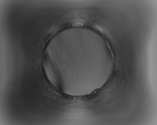 X0000088471445200706191339